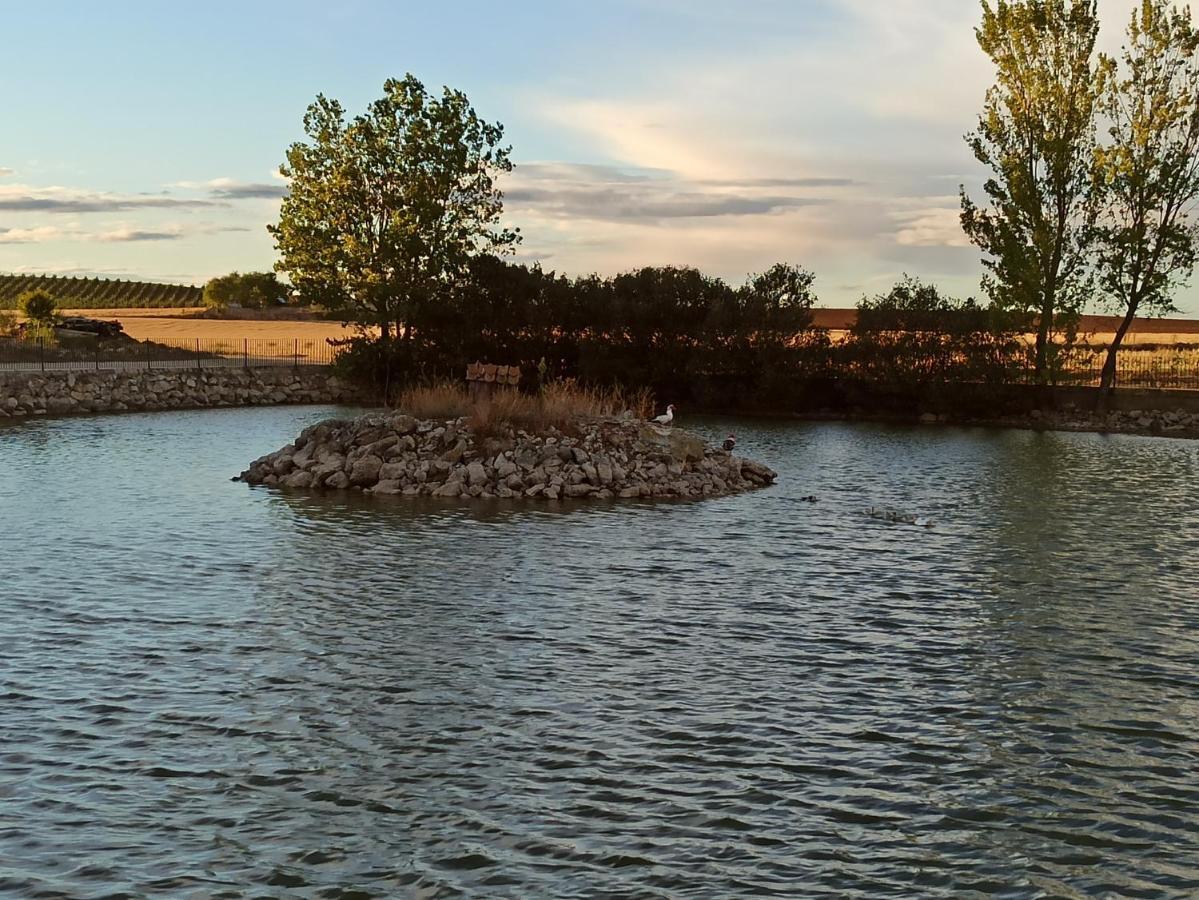 La Olma Campillo de Aranda